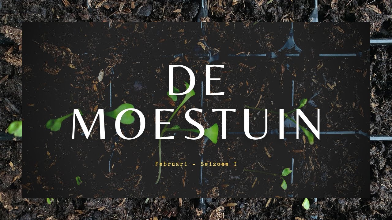 Februari: eerste groenten ontkiemen & moestuinplan af | De Moestuin s01e02