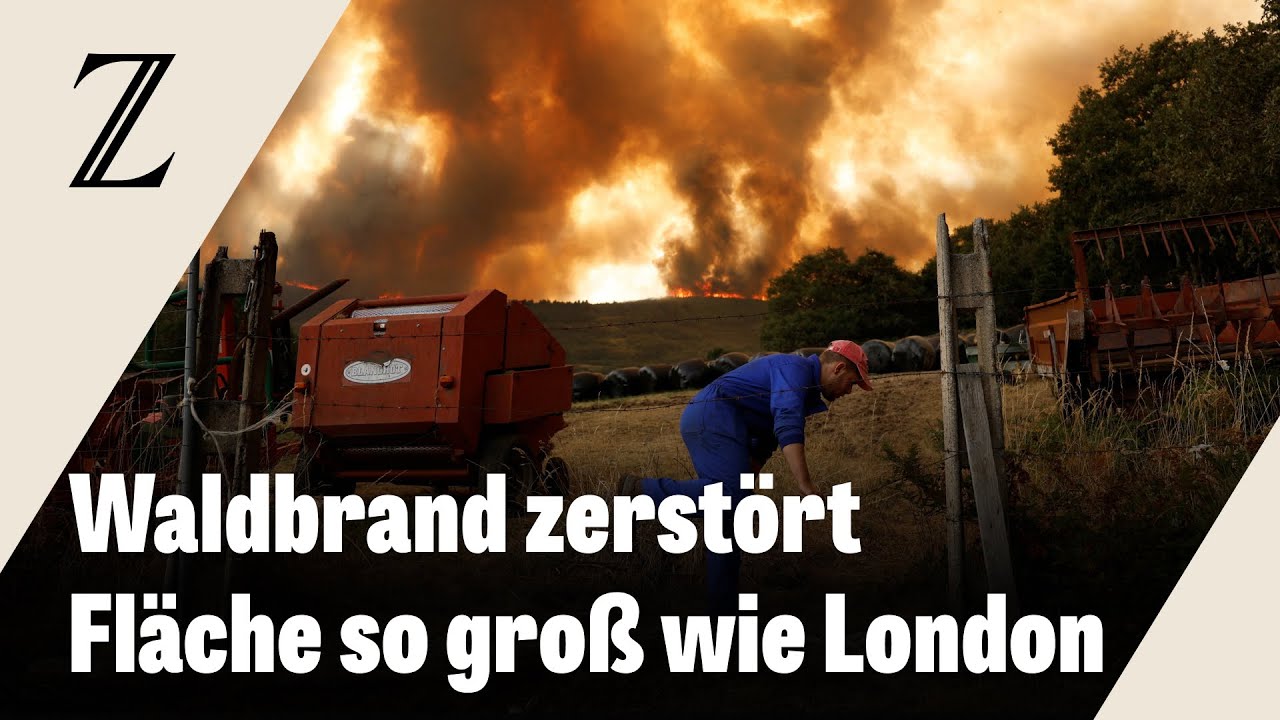 Spanien k&auml;mpft gegen 14 Waldbr&auml;nde
