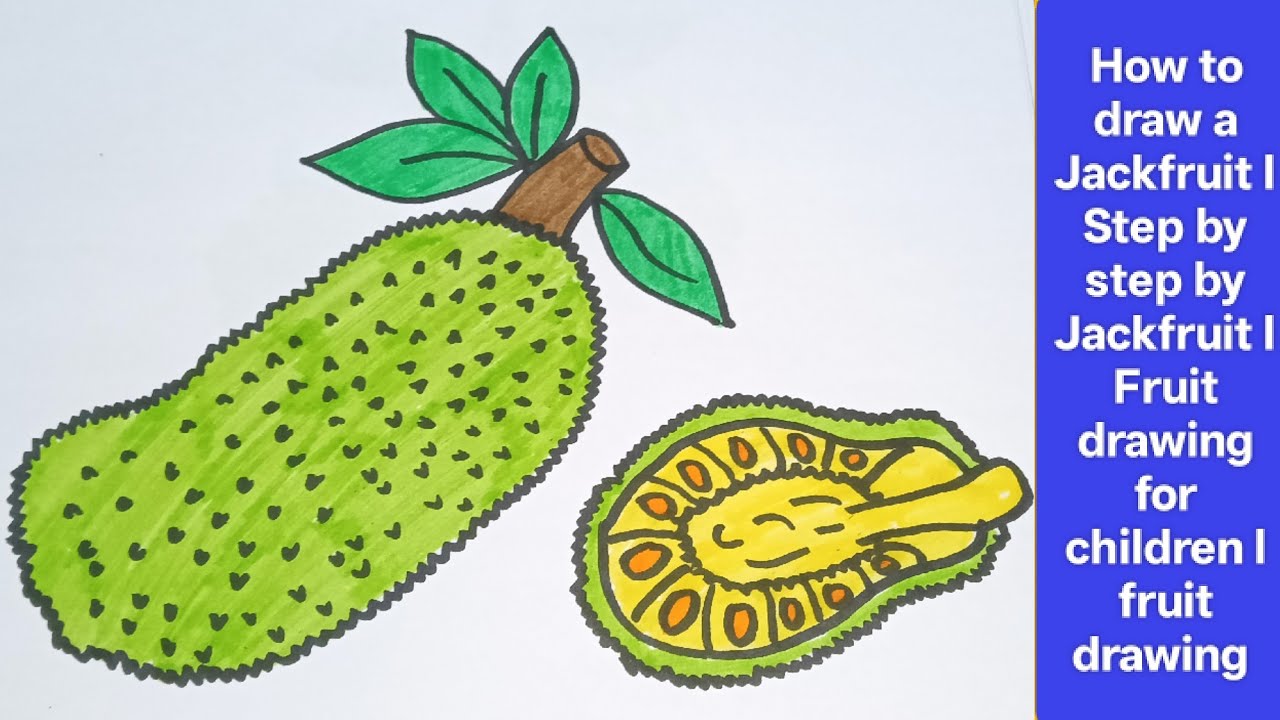 How to draw a Jack fruit drawing l Fruits drawing and colouring videos for children l realistic art
