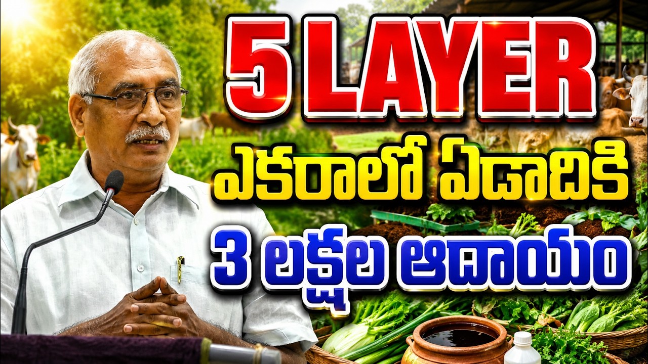 ఎకరాలో ఏడాది 3 లక్షల ఆదాయం | 5 layer farming method | bhumiputhra telugu