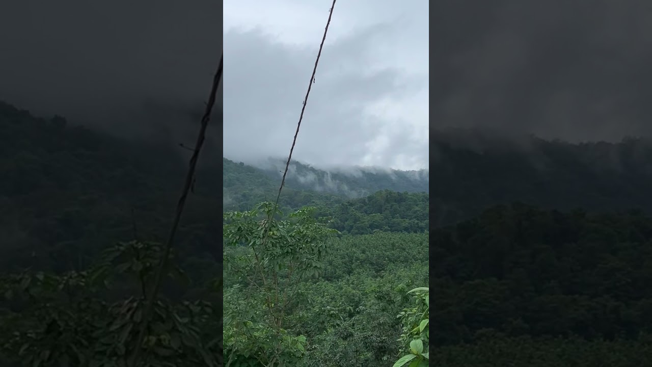 Kerala,Pathanamthitta #kerala #pathanamthitta #tourism #subscribe #like #shorts
