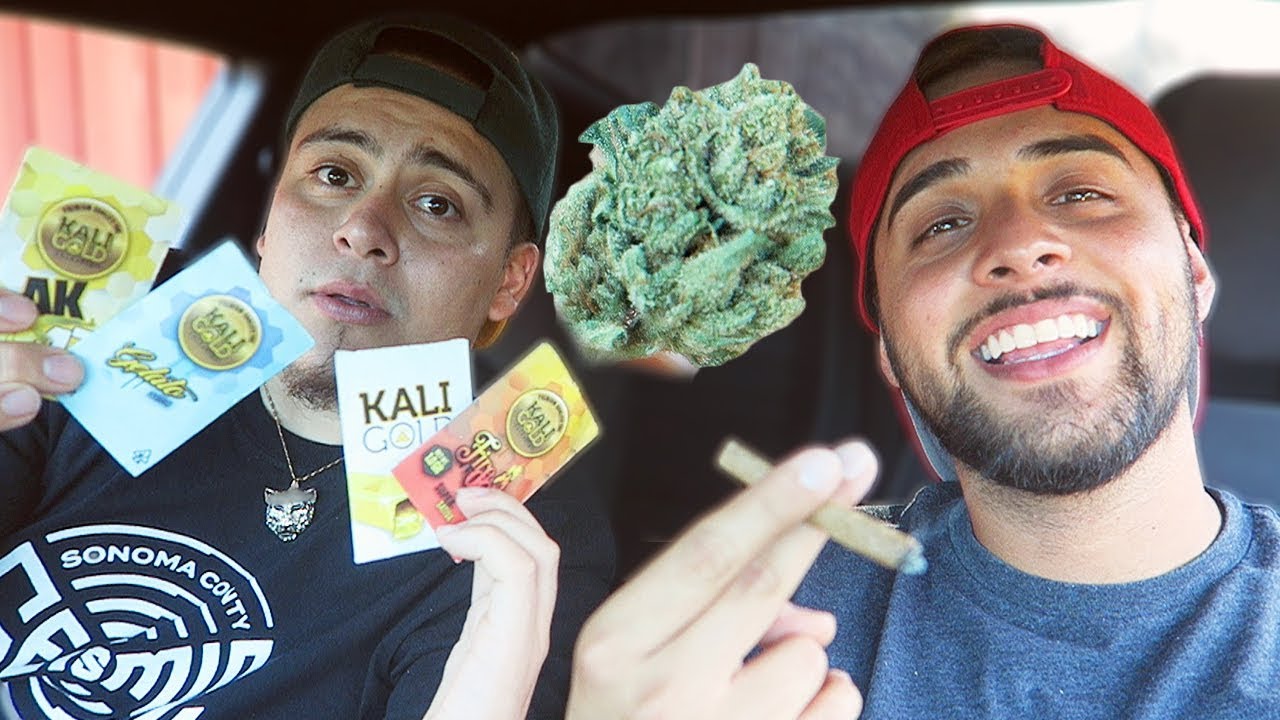 LARRY OG BLUNT SESH!
