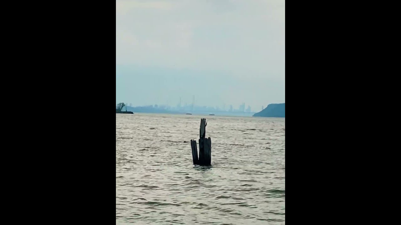 Manhattan View from Upstate NY #music #viral #foryou
