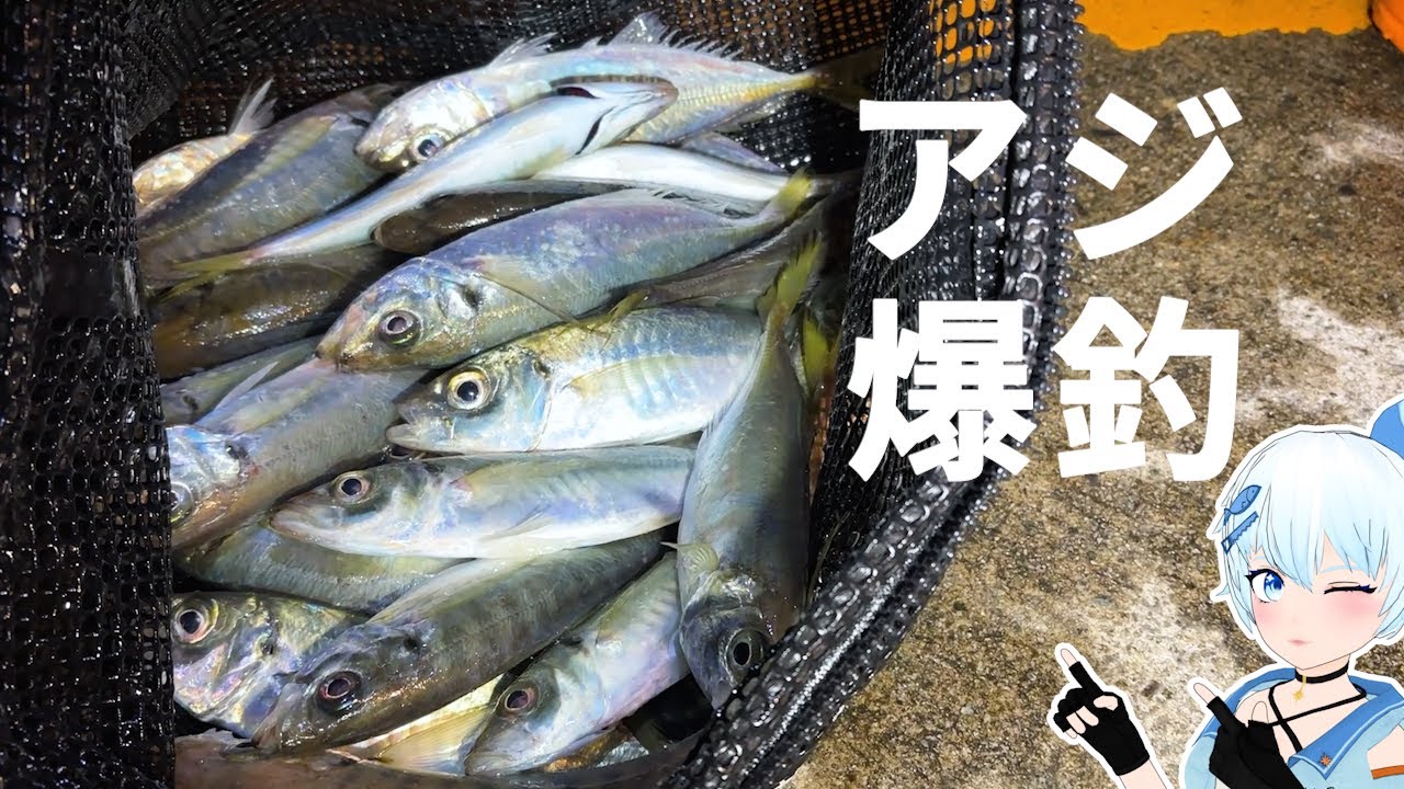雪中アジ釣りで爆釣【サビキ釣り】