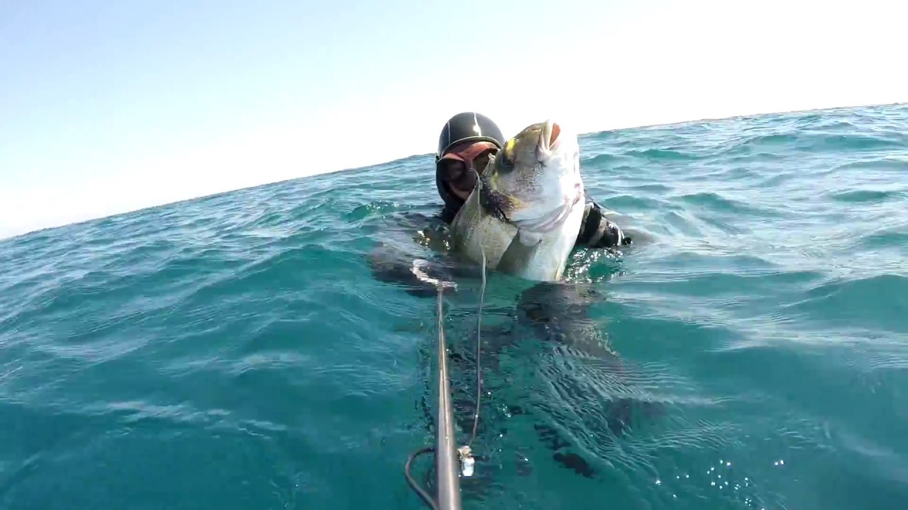GIANT ORATA BY ROBERTO TIVERON CON MARES CYRANO EVO HF 