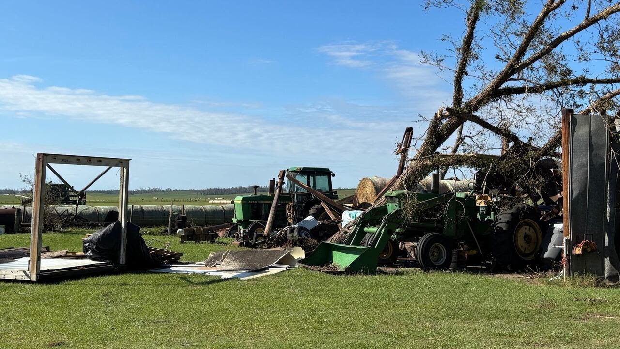 Storms, debt and rising costs: can $500M in aid keep Georgia farms alive?