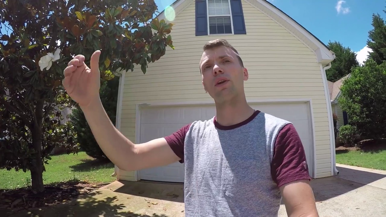 Cat costa o casa in America?