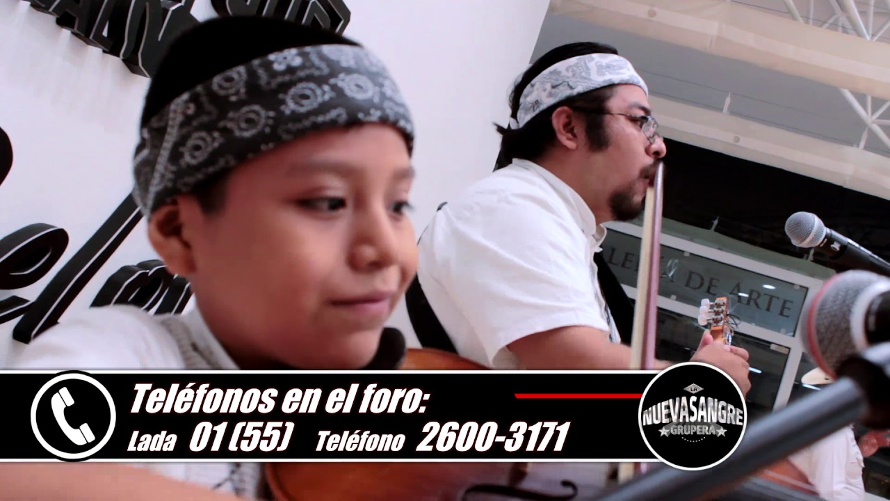 Musical: Dúo León Huasteco - Ojalá que llueva café