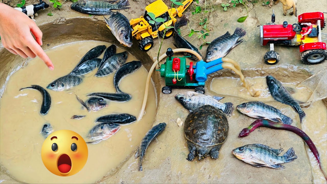 Catch fish using mini water pump | fishing exciting | diy tractor | @Mini Fish Creator