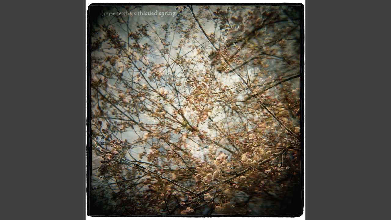 Thistled Spring