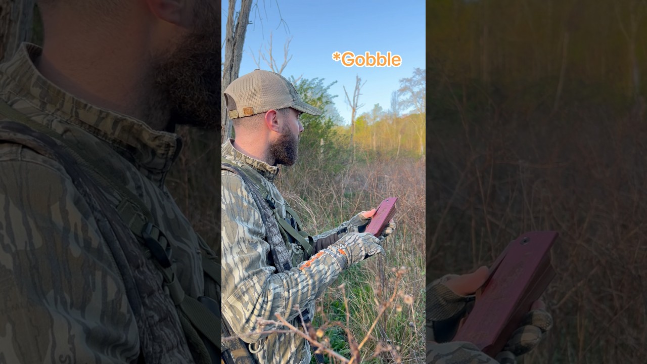 I&rsquo;d rather wait than hear no gobble at all! #turkey #turkeyhunting #turkeyseason #hunting #nwtf #fyp