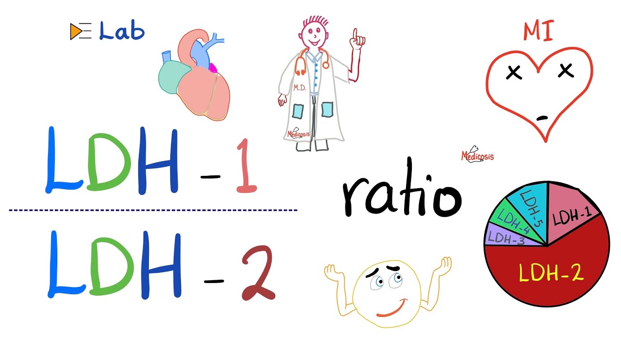 LDH-1 to LDH-2 Ratio (and the flipped LDH) | Lactate Dehydrogenase and Heart Attacks ❤️&zwj;🩹
