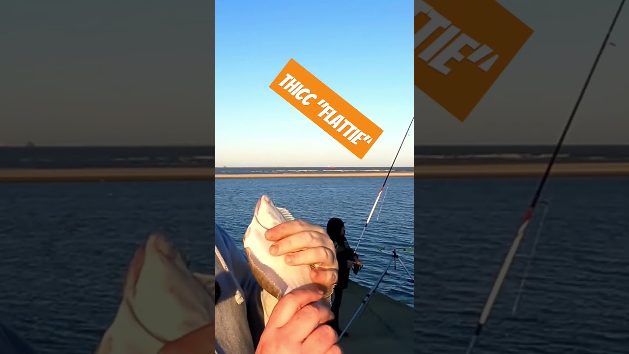 Thicc flattie! #fishing #fish #flatties #humberston #creek #seafishinguk #fishingtechniques