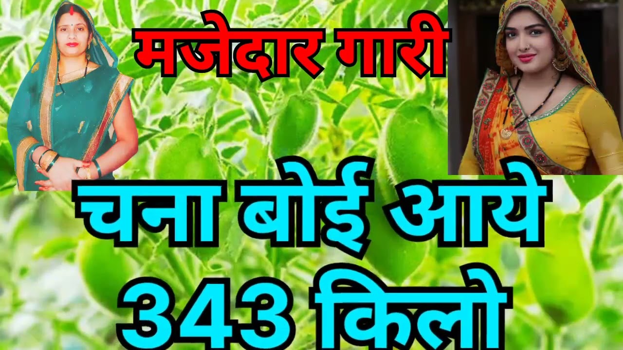 #😂बहुत मजेदार##गारी#चना बोई आये#343 किलो# बुजरऊ#देखानी बखारे मे Urmila ke geet