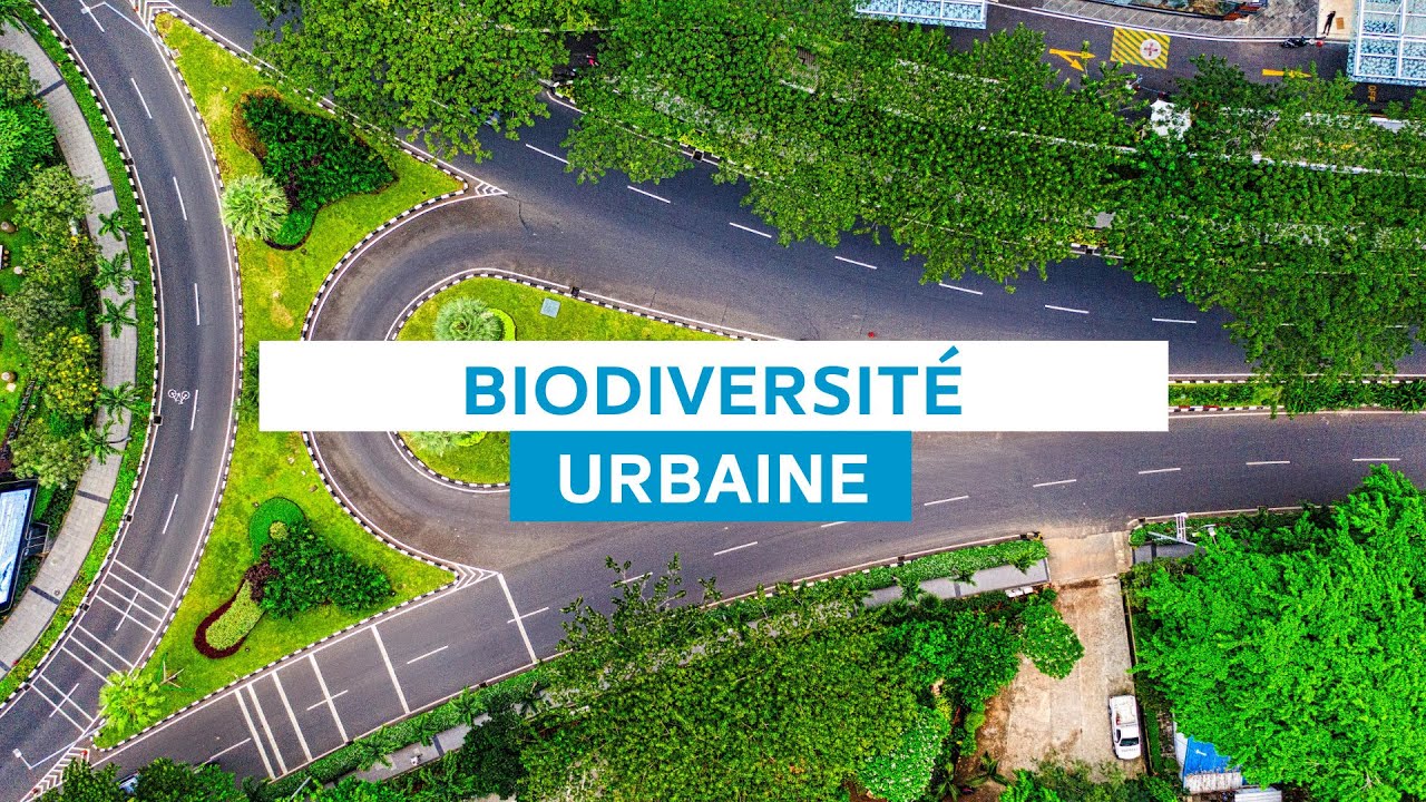 Biodiversité urbaine