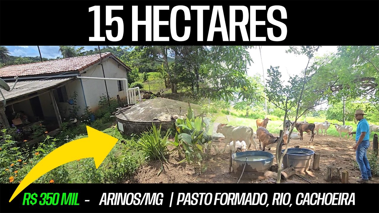 Sítio à venda – Arinos/MG – 15 ha, pasto formado, rio, cachoeira – R$ 350.000