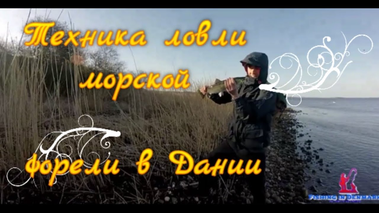 Техника ловли морской форели в Дании. Мethod for sea trout fishing in Denmark
