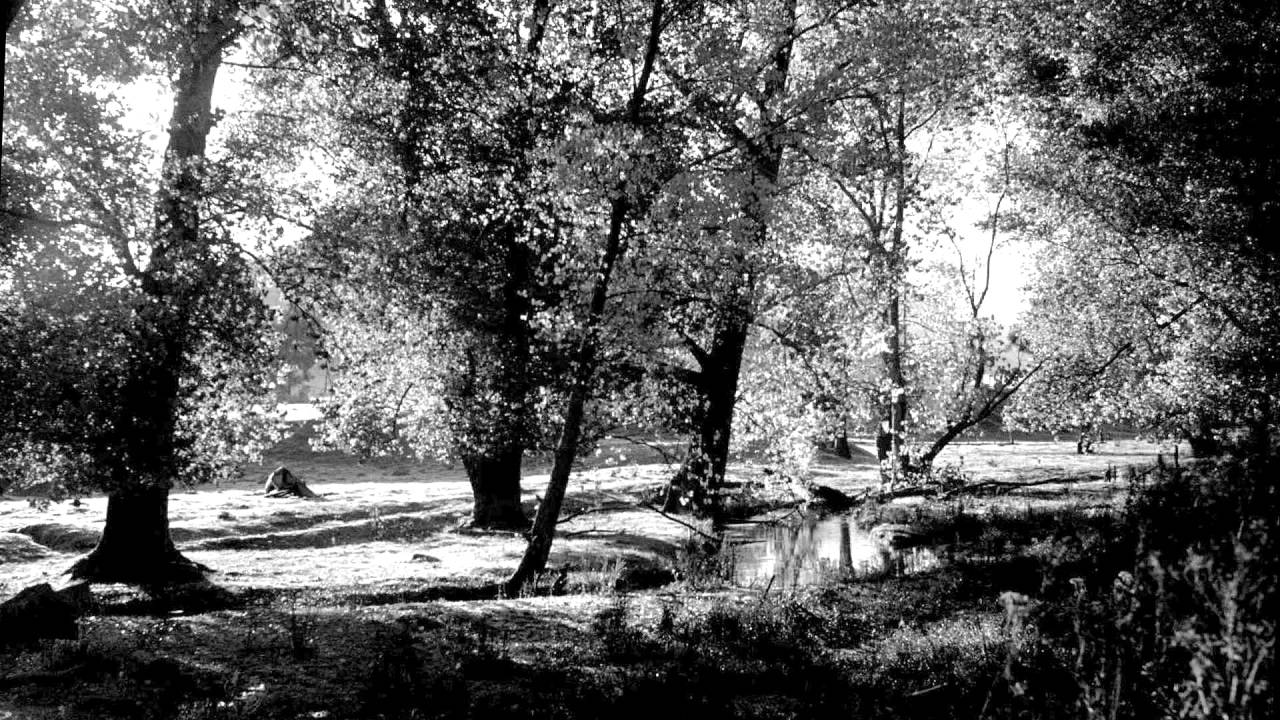 Tokoroa 1963 Part 1 of 2