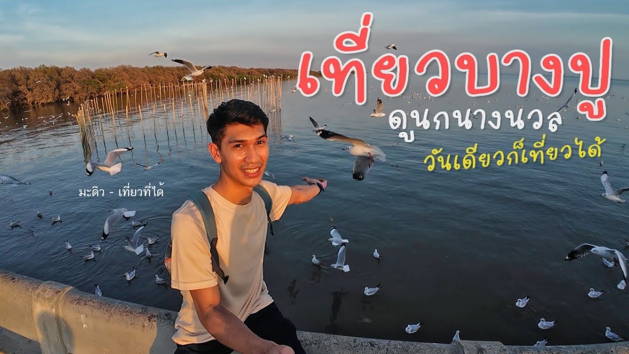 เที่ยวบางปู ปลายปี2024 ไปดูนกนางนวล ชมวิวเมืองสมุทรปราการ #อาสาเที่ยว #Ep.71