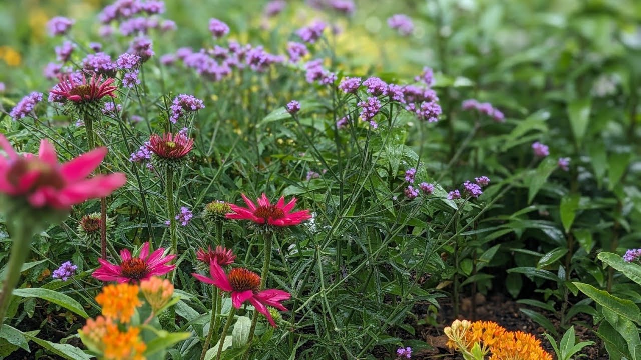 June Garden Tour
