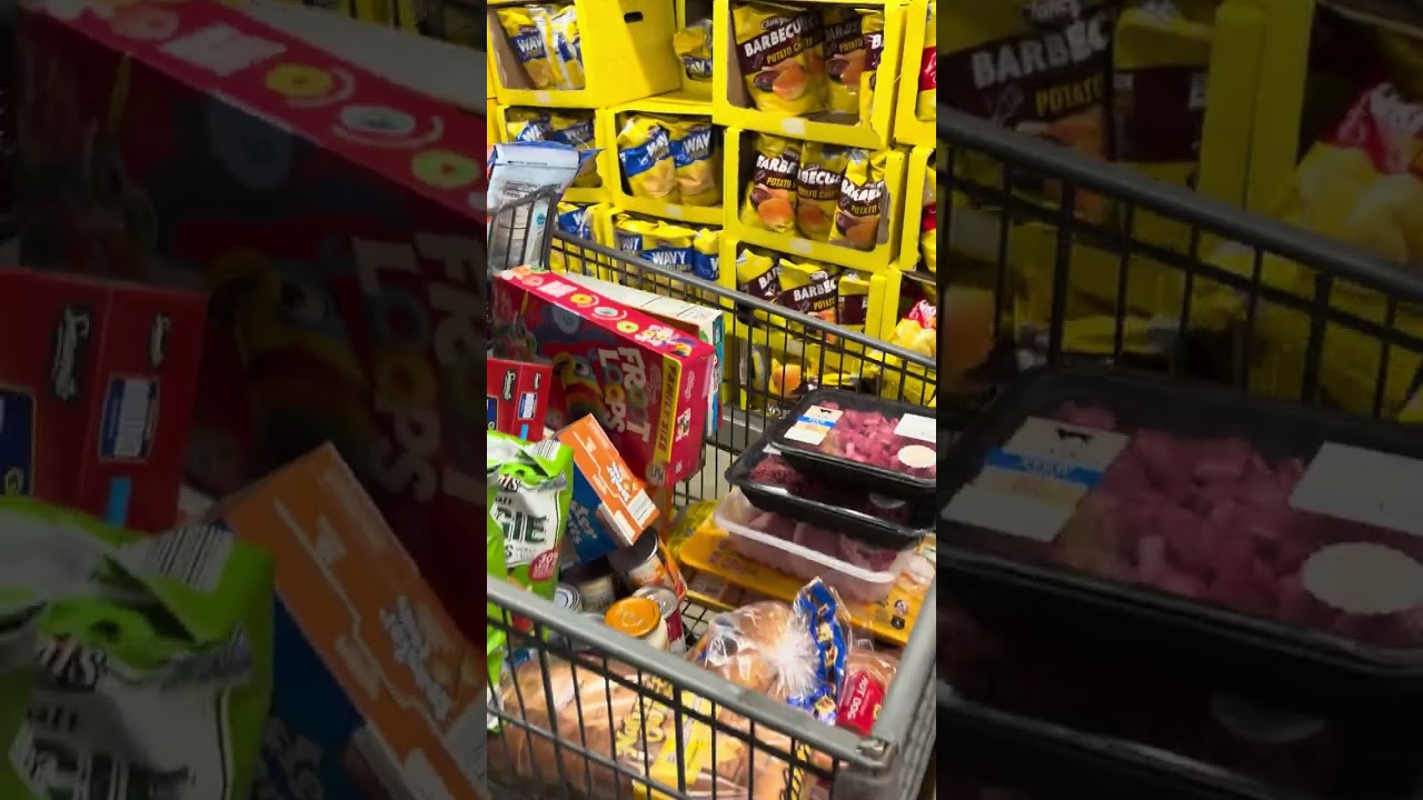 Shopping on Budget $198 Aldi Grocery Haul