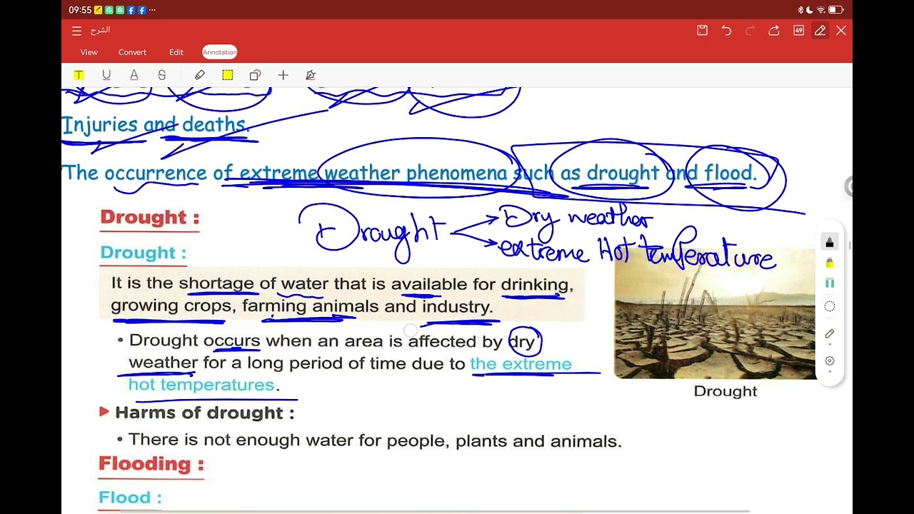 Grade six unit three concept two lesson three and four
