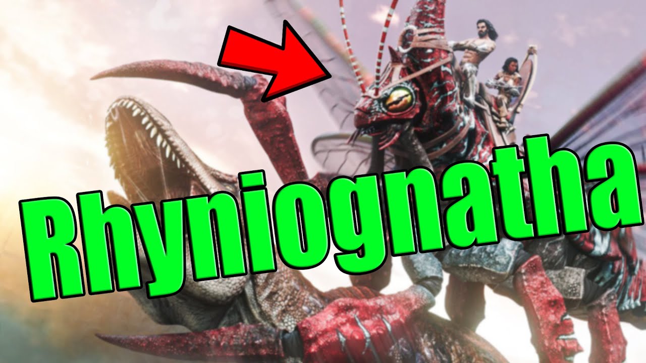 RHYNIOGNATHA! TRAMPA y TODO lo que NECESITAS SABER! Ark Survival Ascended