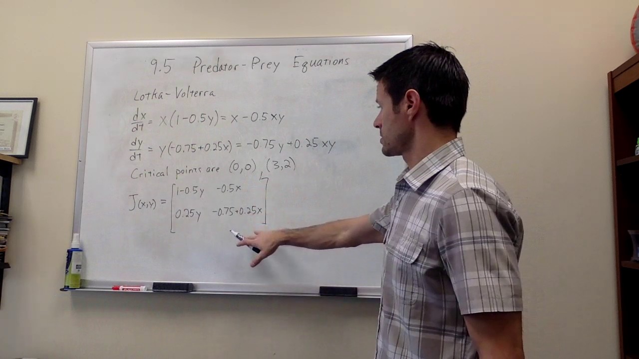 math251h: Lotka-Volterra predator-prey model