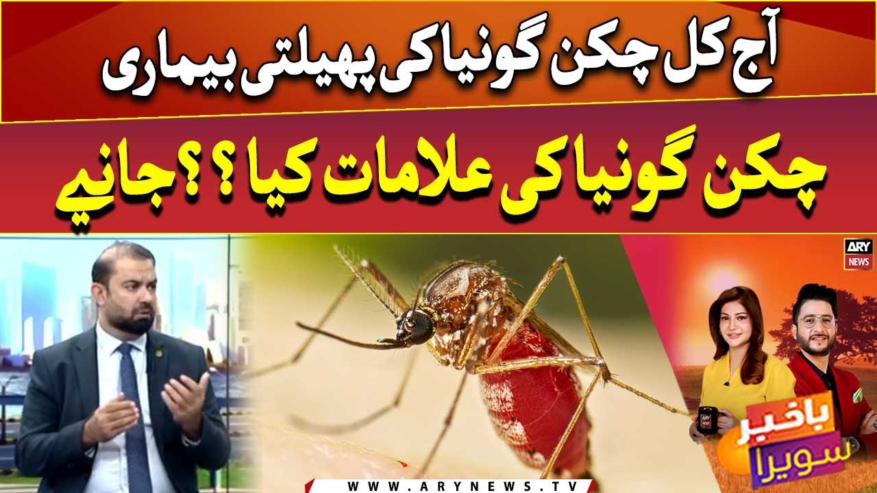 Chikungunya: Symptoms, Treatment and Precautions | All you need to know