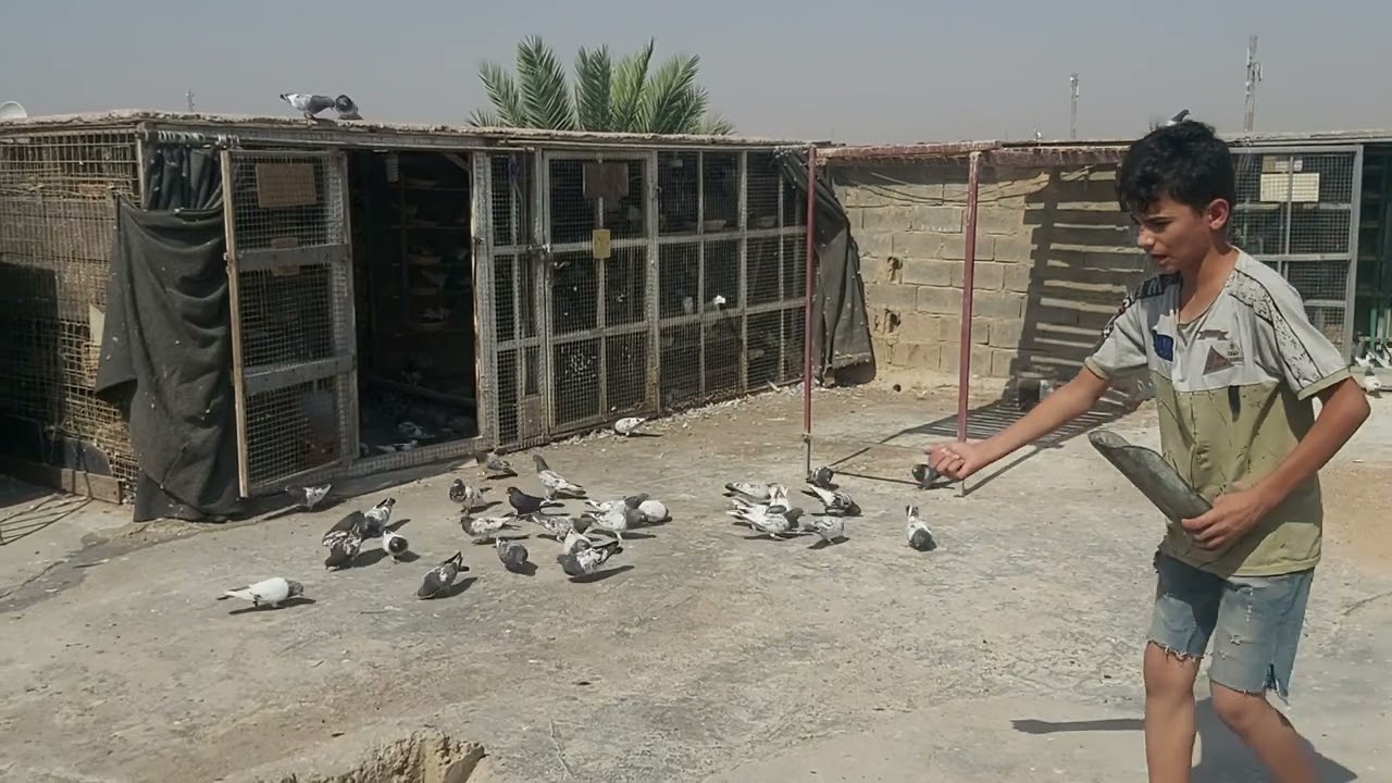 شوف الأخطاء لتصير وياك بالصطح