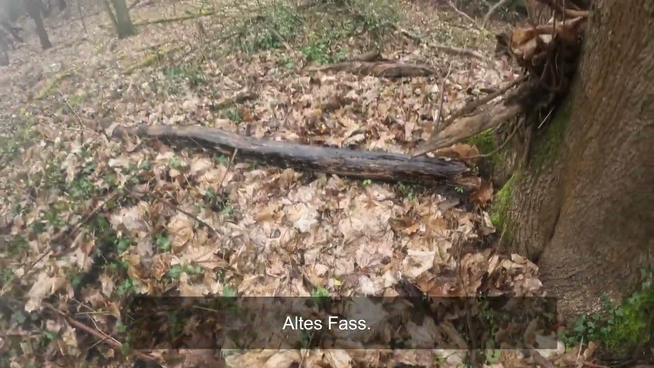 SS Wald Stellungen der Wehrmacht u. Roten Arme Sondeln mit dem XP Deus 2 Teil 2