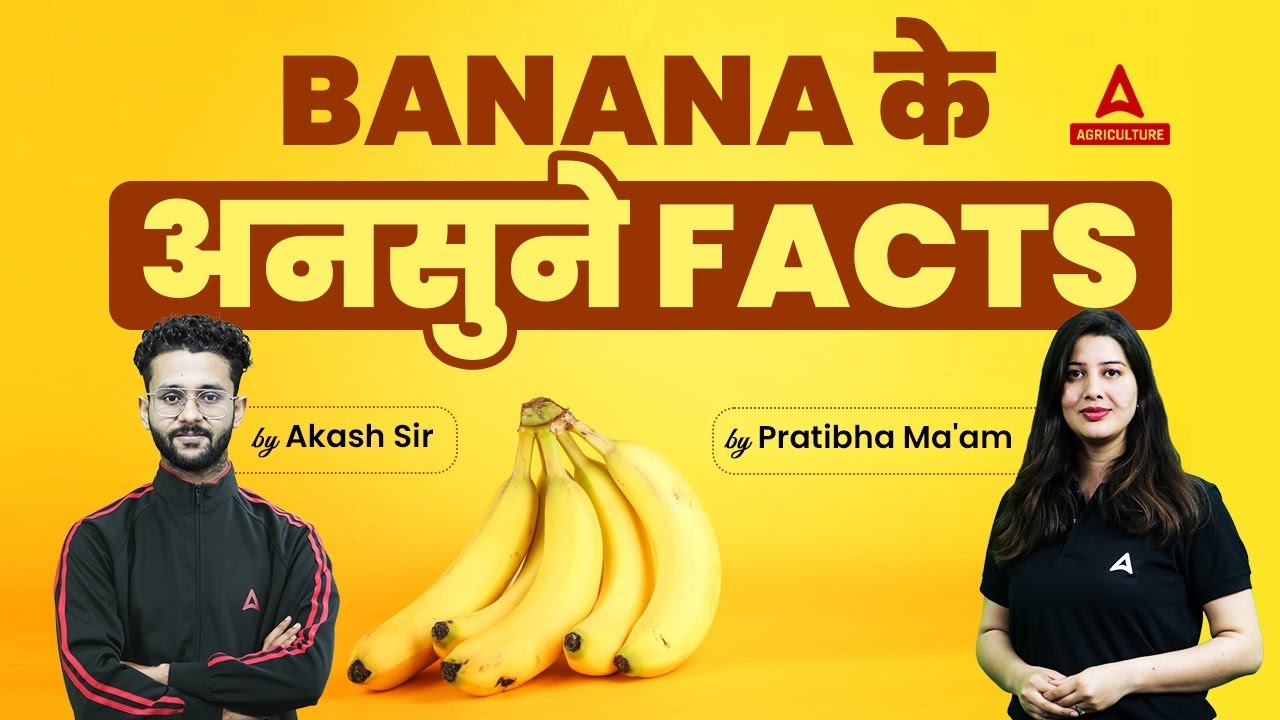 Important Facts of Banana | Horticulture Related Facts | By Akash Sir & Pratibha Ma'am