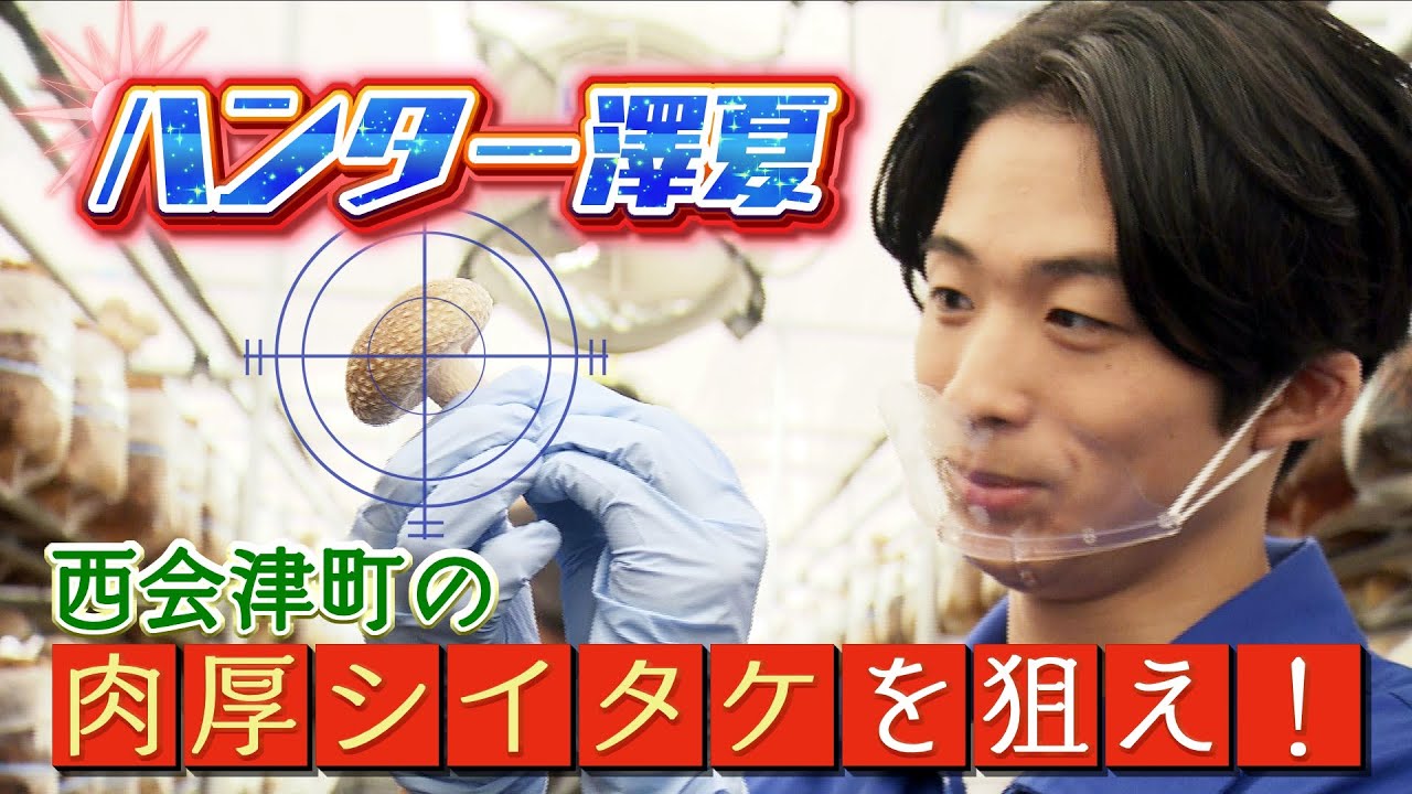 【爆誕】シイタケハンター澤夏！肉厚シイタケを狙え！！