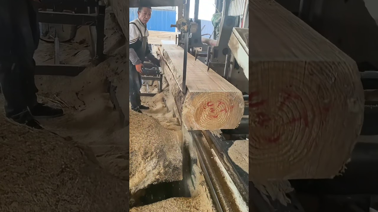 The logs were sawn into boards. #woodworking #asmr #wood #diy