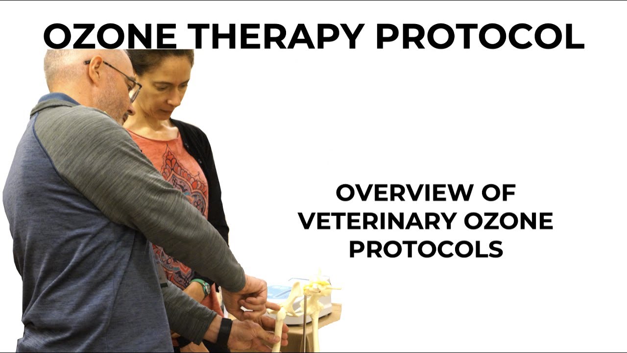 O3Vets Veterinary Ozone Therapy Protocols