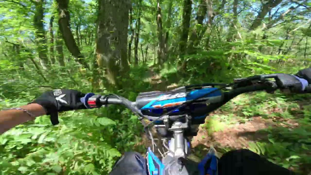 smx 150 rfz enduro en forêt