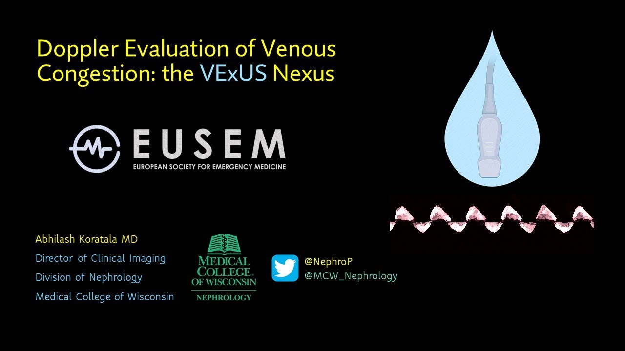 Обзор системы VExUS от доктора Кораталы (мастер-класс Европейского общества неотложной медицины)