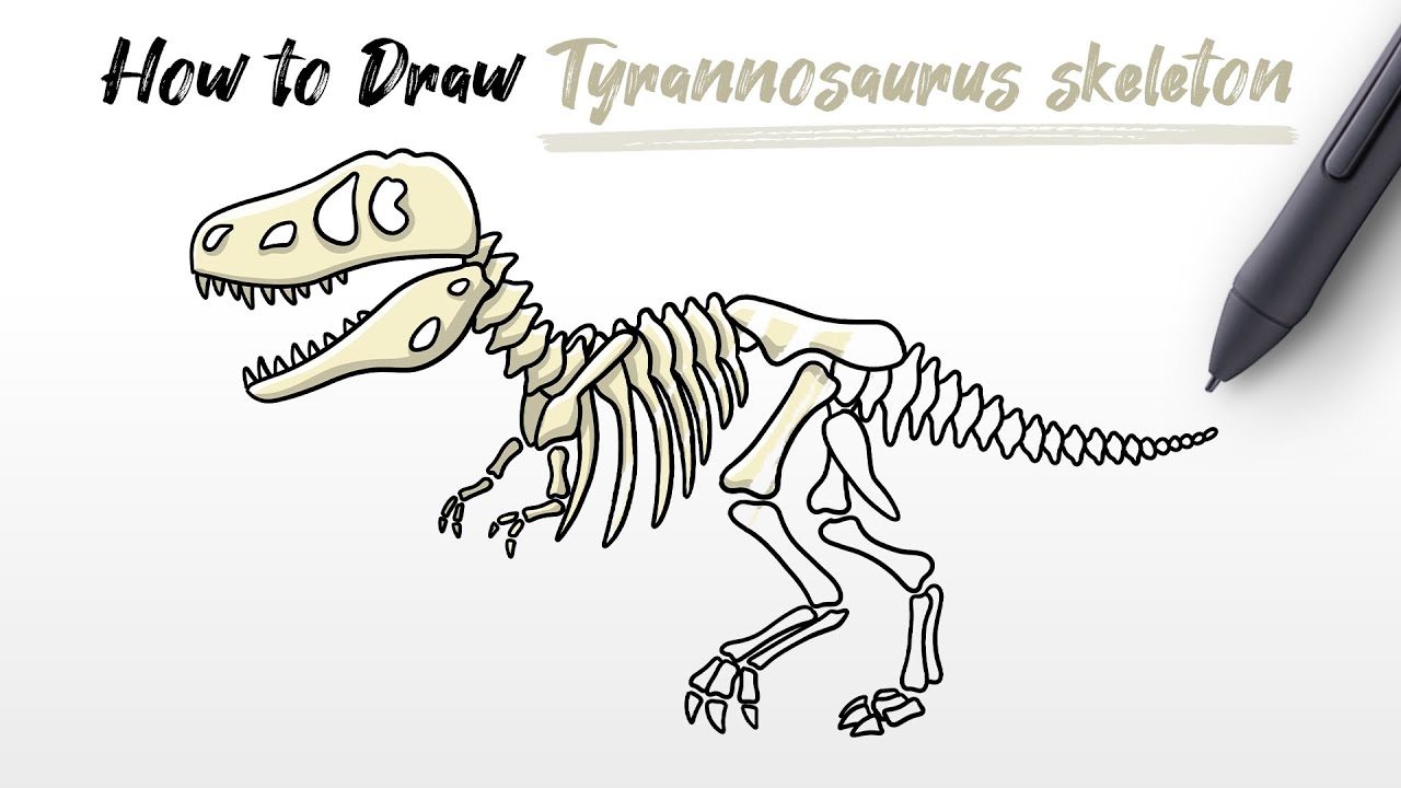 How to Draw skeleton Trex Tyrannosaurus dinosaur bones halloween Easy Step by Step