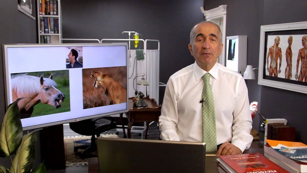 İnsanoğlu yapı olarak et&ccedil;il midir? ot&ccedil;ul mudur? - Dr. Murat Kınıkoğlu Sağlıkta Doğrular