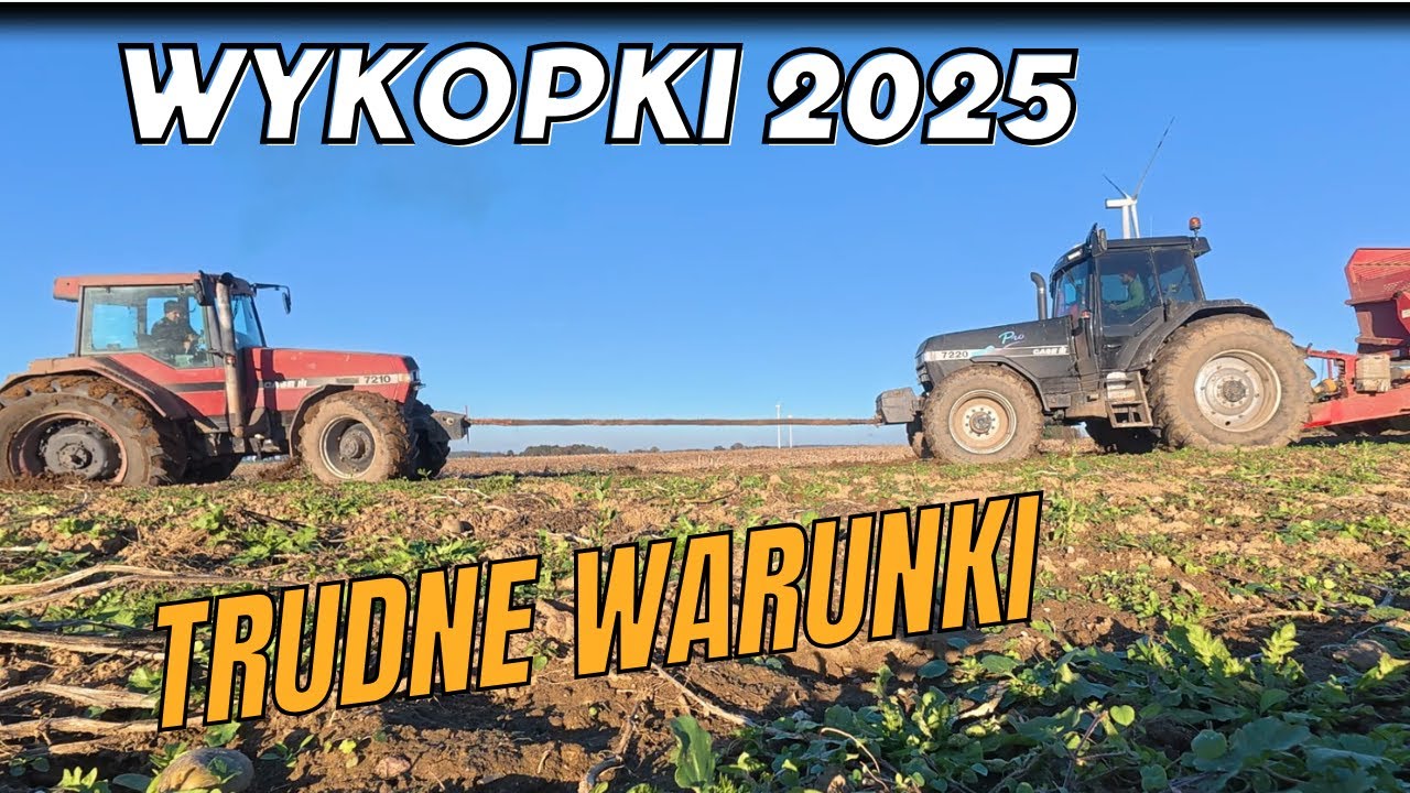 Utopiona przyczepa. Wykopki 2025.