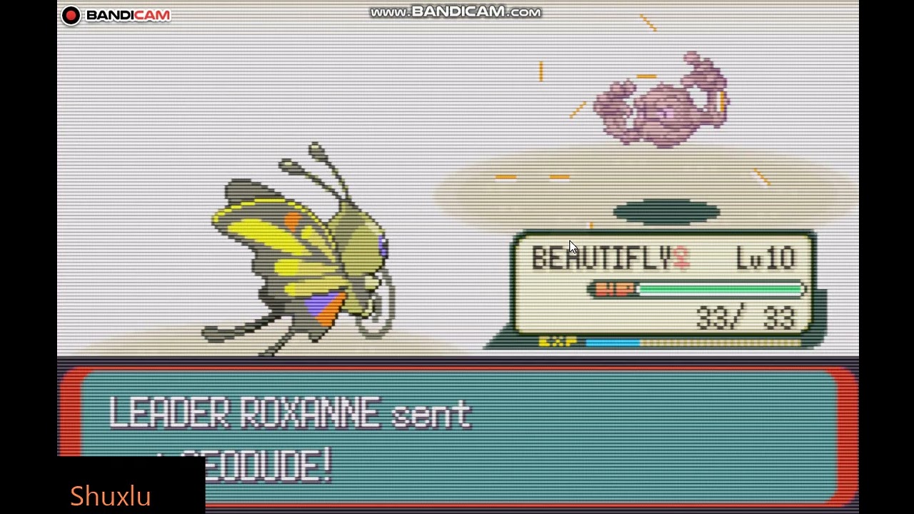 Shuckle bermain pokemon emerald- gym 1