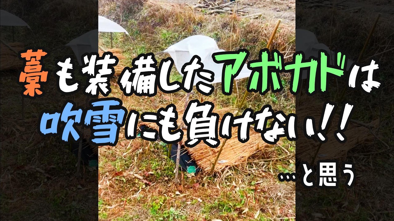 農地開墾した1月の報告