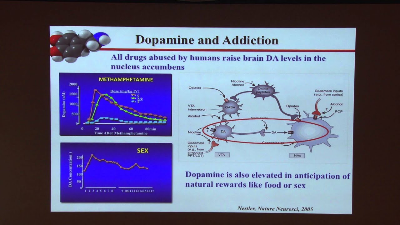 27th Frontiers in Chemistry: The Chemistry of Drugs