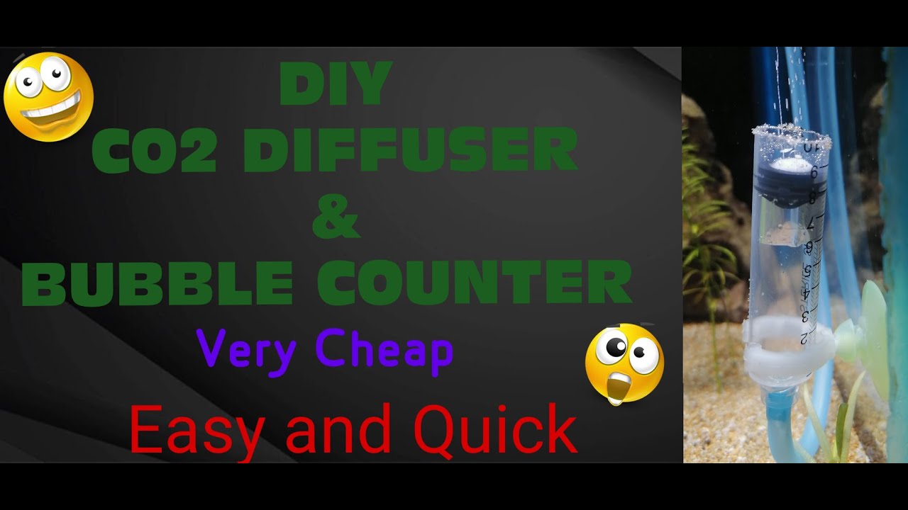 How to Make DIY CO2 Diffuser? | How to make DIY CO2 Bubbles Counter?| #DIYCO2diffuser #Bubblecounter
