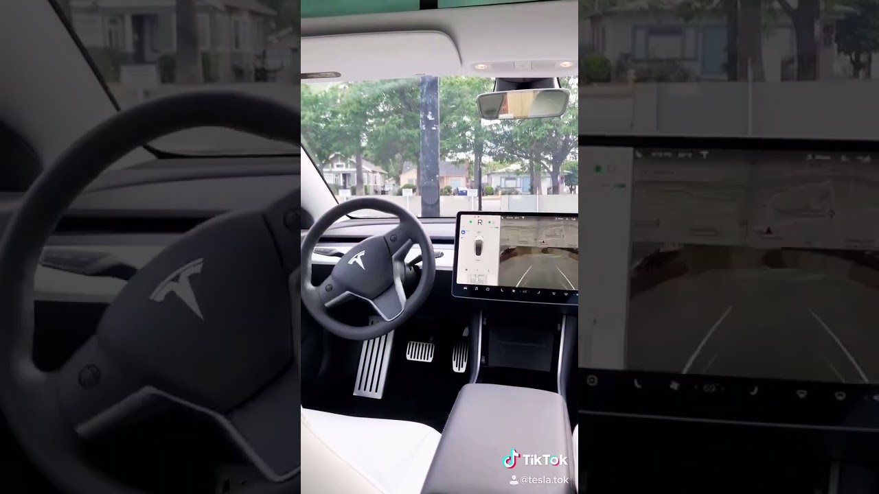 The solution to end drunk driving 🤣🤔 #tesla #fsd #safety #fyp #future #2030