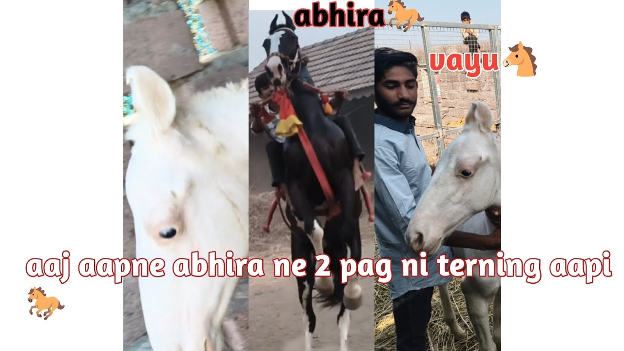 #aaj aapne abhira ne be pag ni terning aapi ane pachi aapne jaydipbhai no ghodo jova gya