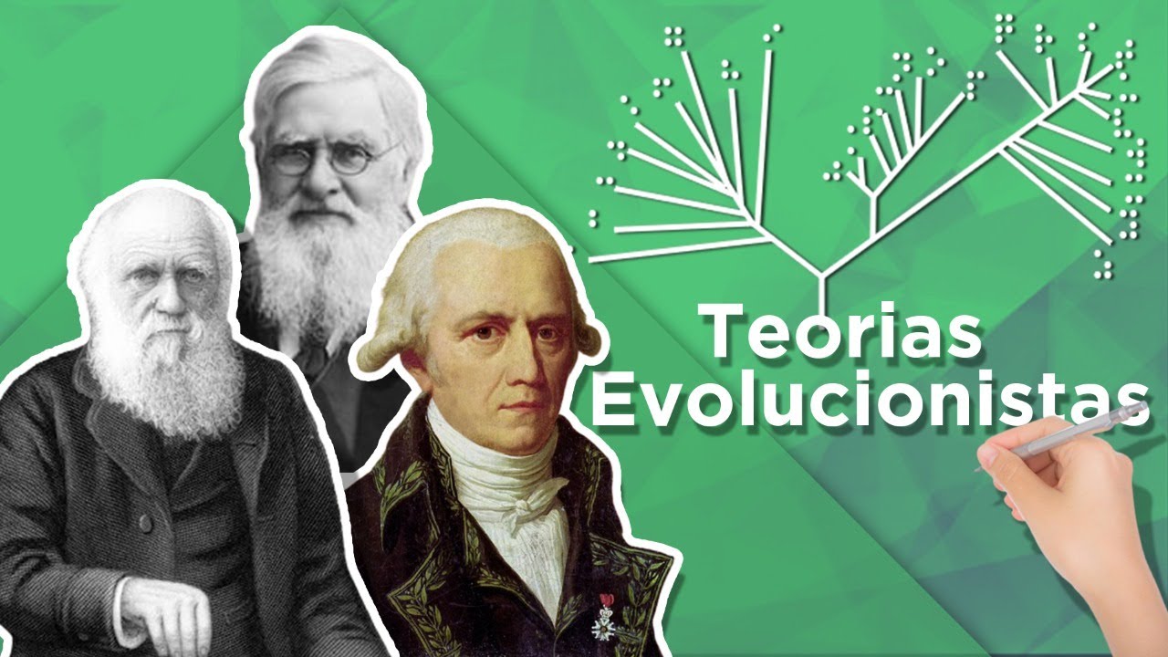 Videoaula - Teorias Evolucionistas II: Darwinismo e Neodarwinismo
