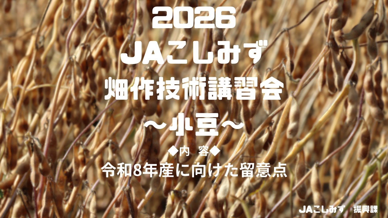 【小豆】畑作技術講習会