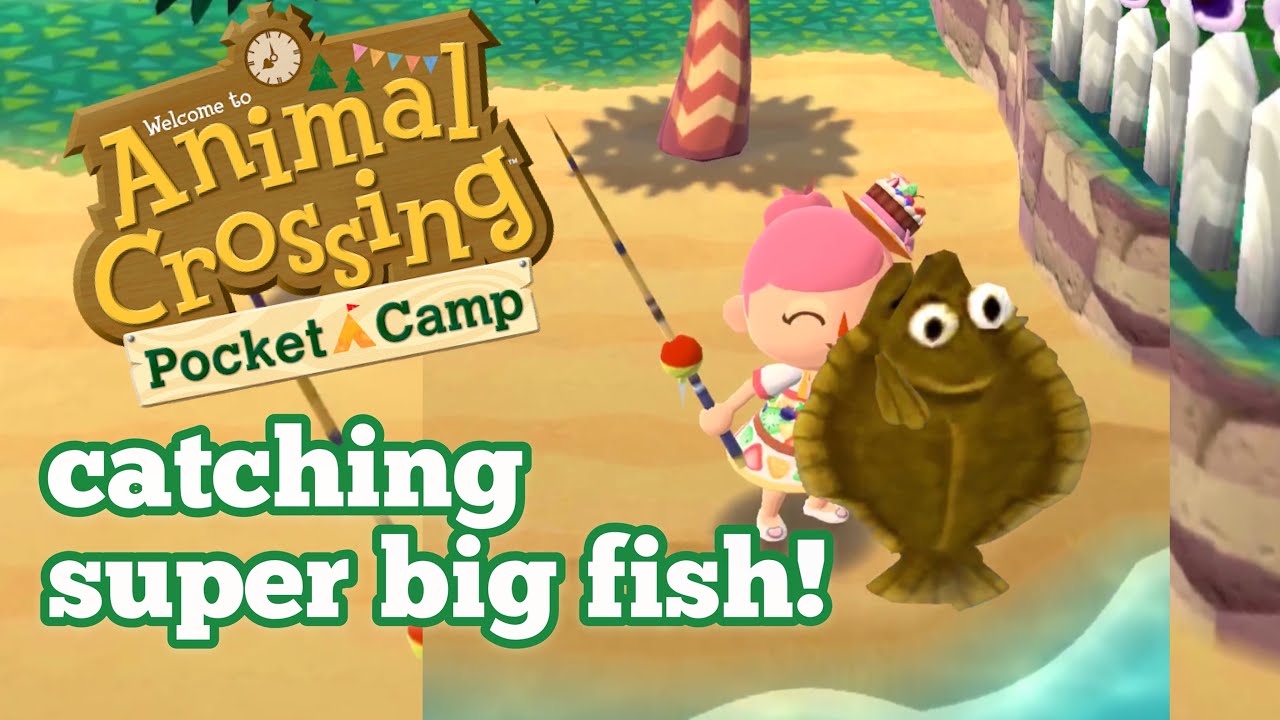 HOW TO CATCH BIG FISH |Animal Crossing Pocket Camp