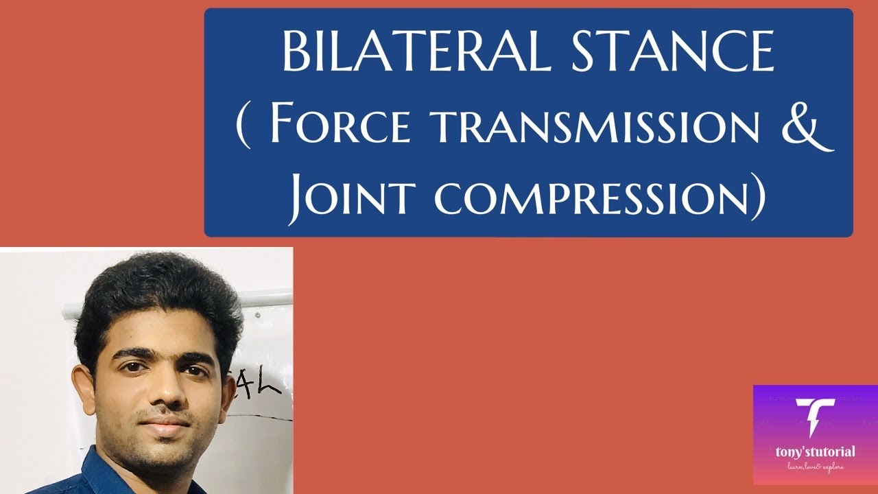 Bilateral Stance- Force calculation and Joint compression